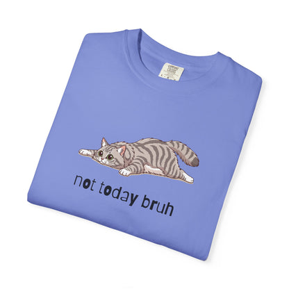 Long hair silver tabby cat Not Today Bruh T-Shirt