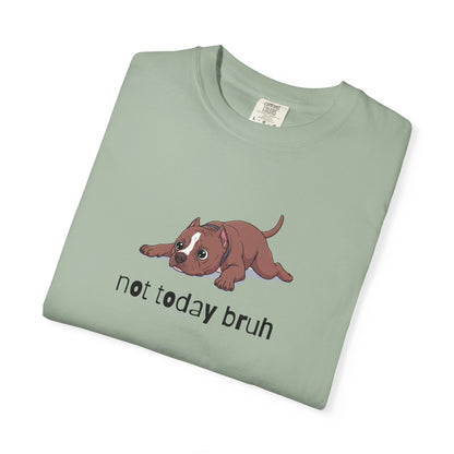 Pitbull Not Today Bruh T-Shirt