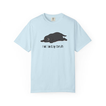 Labrador Not Today Bruh T-Shirt