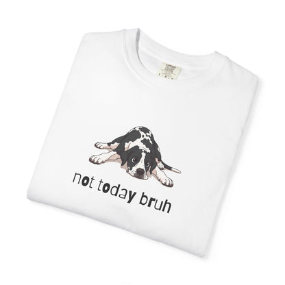 Great Dane Not Today Bruh T-Shirt