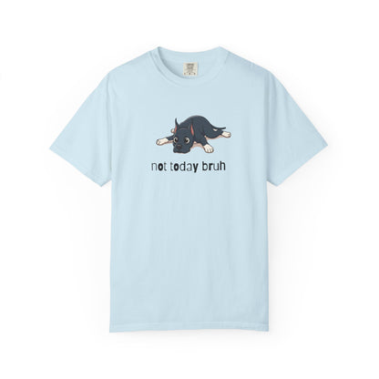 Great Dane Not Today Bruh T-Shirt