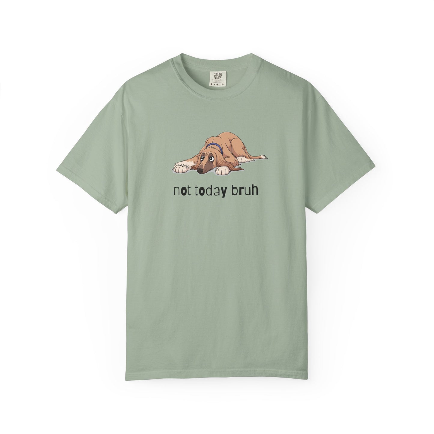 Afghan Hound Not Today Bruh T-Shirt