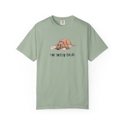 Afghan Hound Not Today Bruh T-Shirt