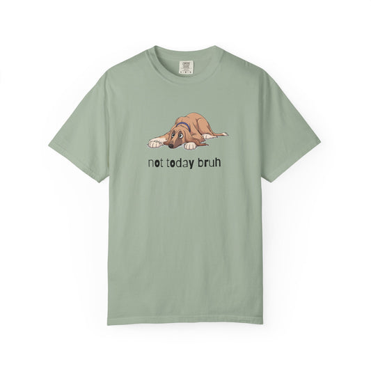Afghan Hound Not Today Bruh T-Shirt