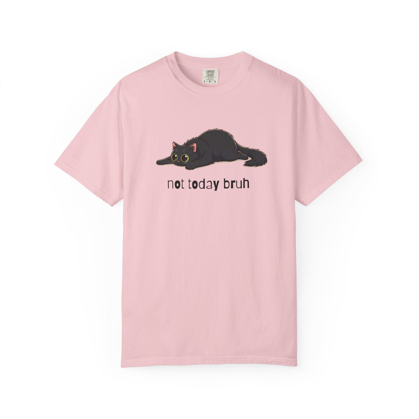 Long hair black cat Not Today Bruh T-Shirt