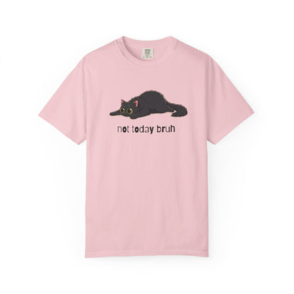 Long hair black cat Not Today Bruh T-Shirt
