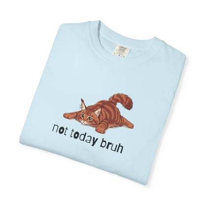 Maine Coon Not Today Bruh T-Shirt