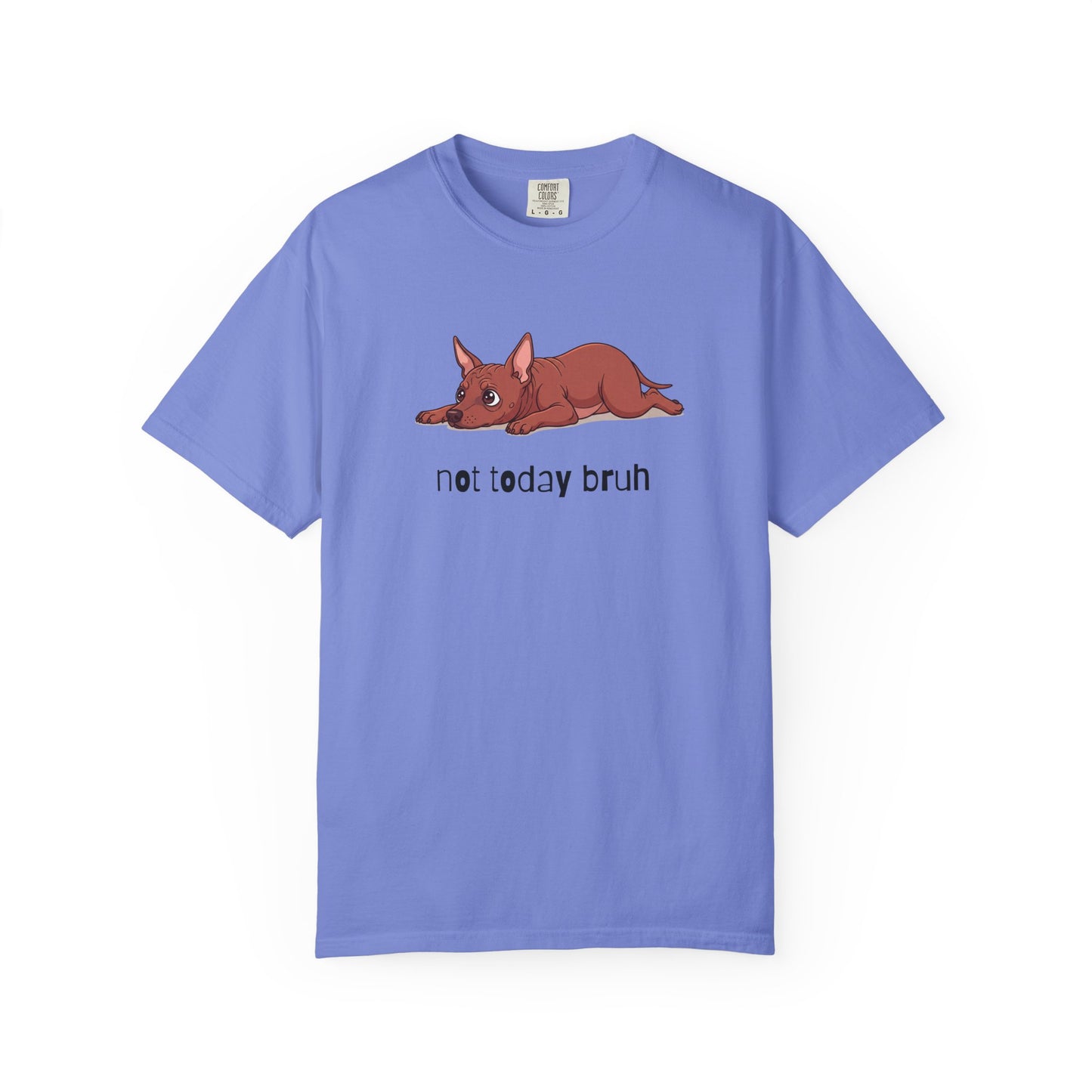 Hairless Dog Not Today Bruh T-Shirt