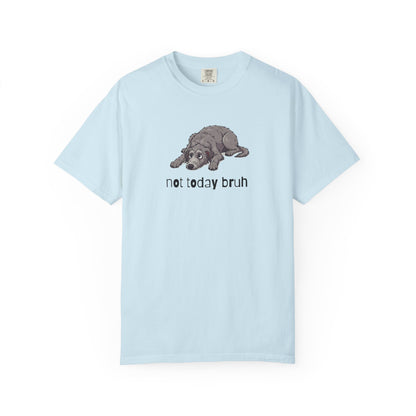 Scottish Deerhound Not Today Bruh T-Shirt