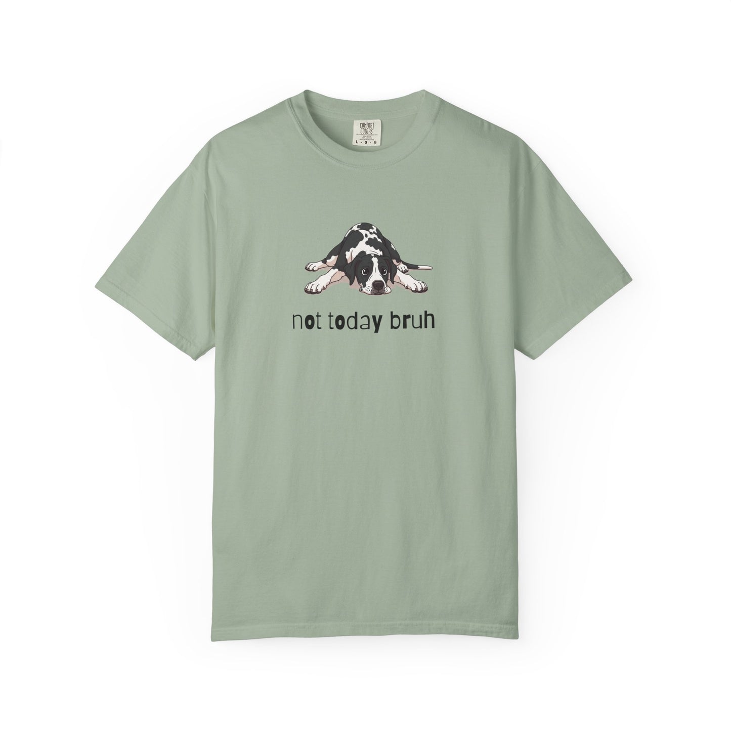 Great Dane Not Today Bruh T-Shirt