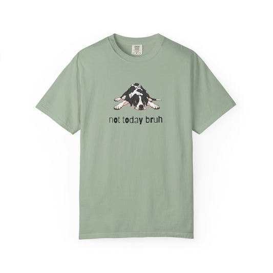 Great Dane Not Today Bruh T-Shirt