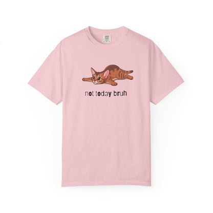 Abyssinian Not Today Bruh T-Shirt