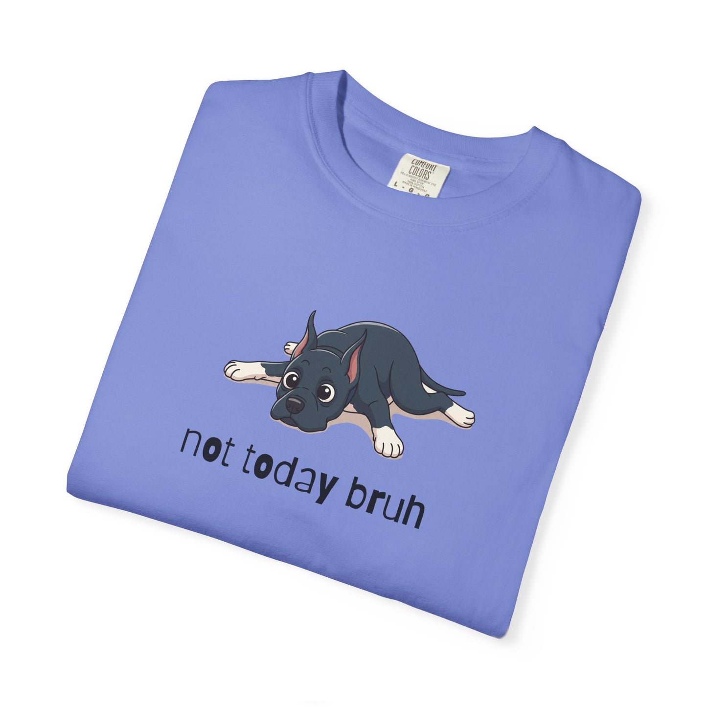 Great Dane Not Today Bruh T-Shirt