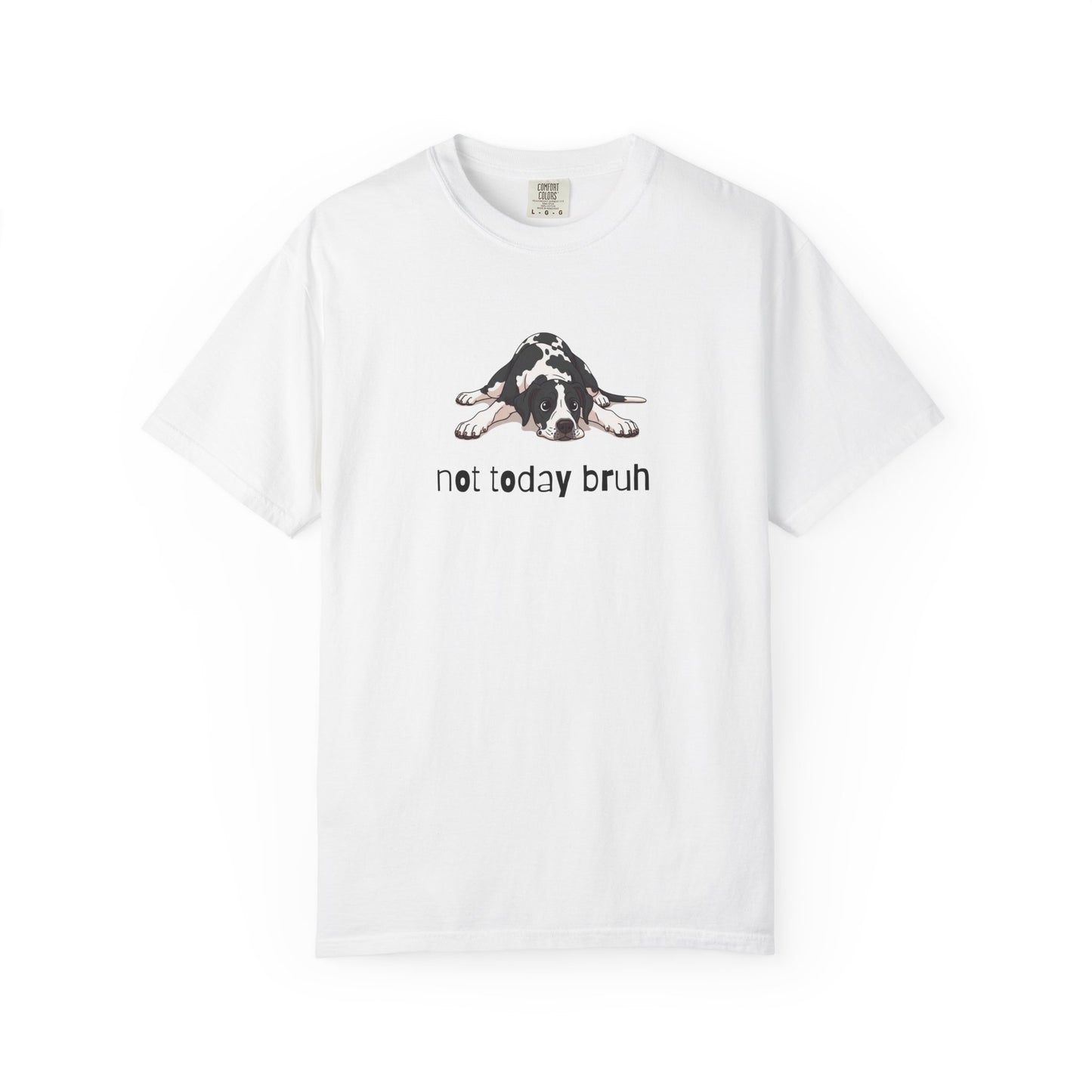 Great Dane Not Today Bruh T-Shirt