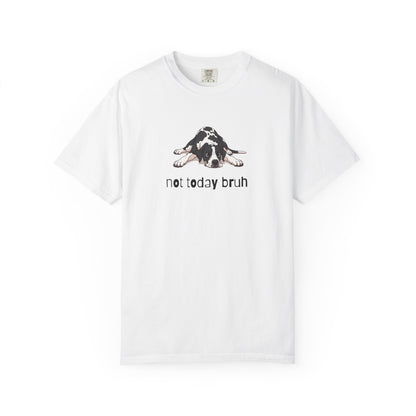 Great Dane Not Today Bruh T-Shirt