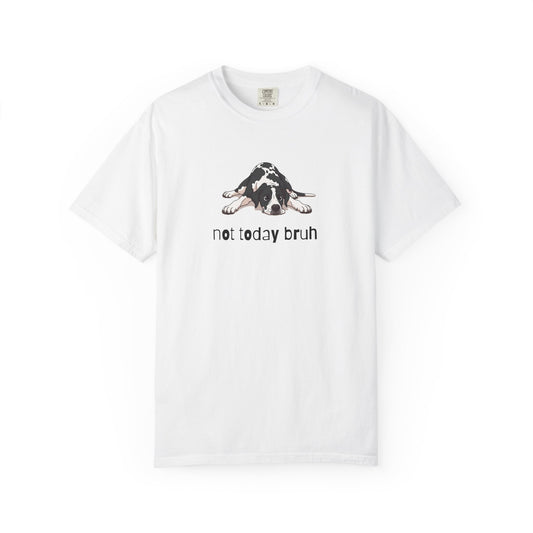 Great Dane Not Today Bruh T-Shirt
