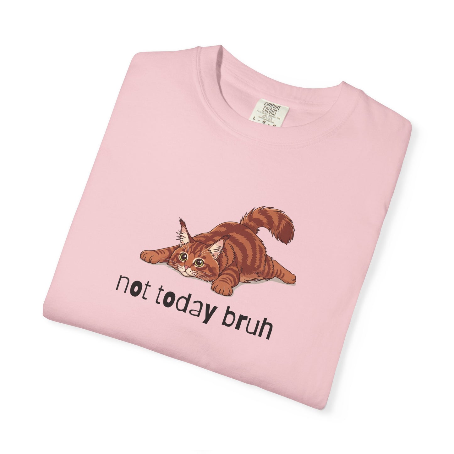 Maine Coon Not Today Bruh T-Shirt