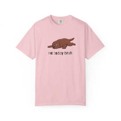 Labrador Not Today Bruh T-Shirt