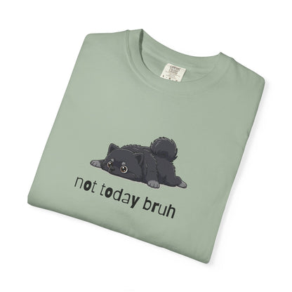 Pomeranian Not Today Bruh T-Shirt
