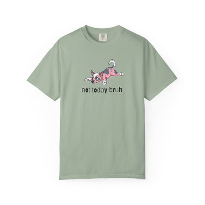 Chinese Crested Not Today Bruh T-Shirt