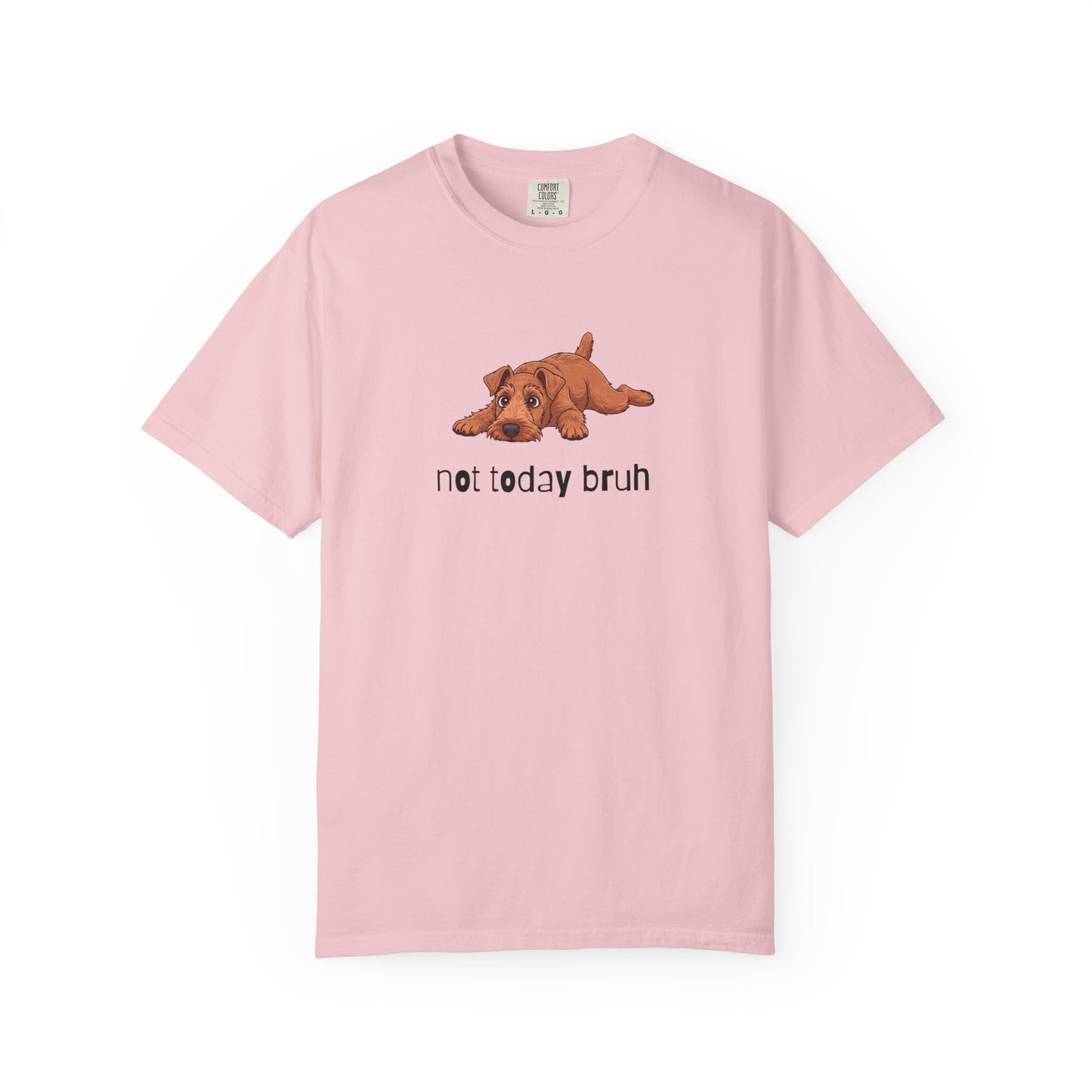 Irish Terrier Not Today Bruh T-Shirt