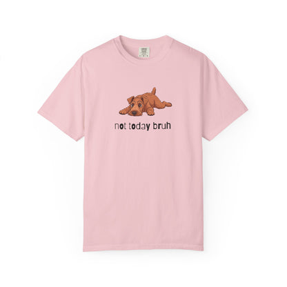 Irish Terrier Not Today Bruh T-Shirt