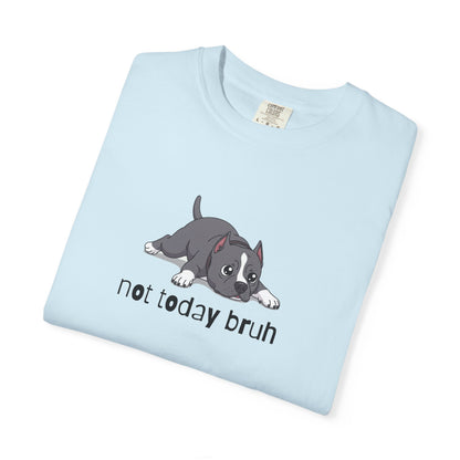 Staffy Not Today Bruh T-Shirt