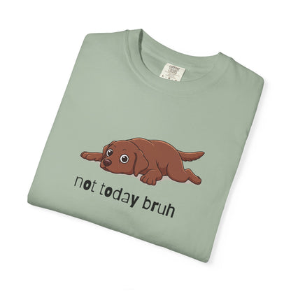 Labrador Not Today Bruh T-Shirt