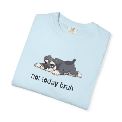 Schnauzer Not Today Bruh T-Shirt