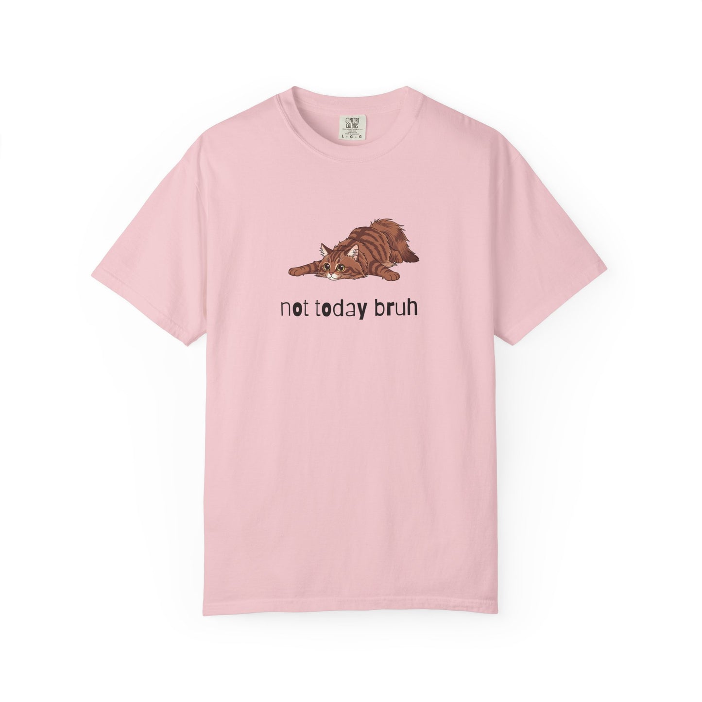Long hair brown tabby cat Not Today Bruh T-Shirt