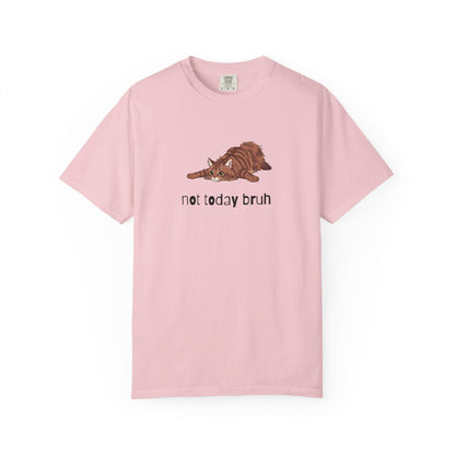 Long hair brown tabby cat Not Today Bruh T-Shirt