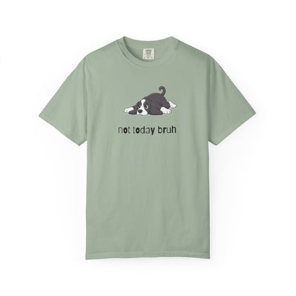 Spaniel Not Today Bruh T-Shirt