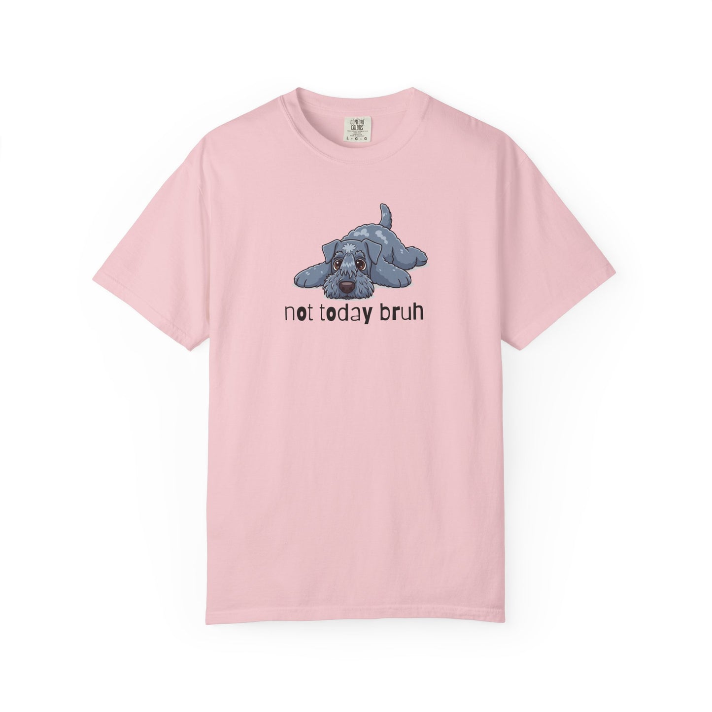 Kerry Blue Not Today Bruh T-Shirt