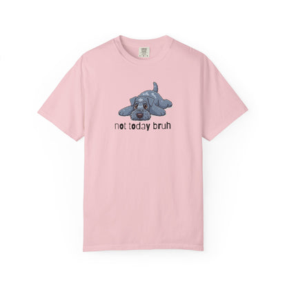 Kerry Blue Not Today Bruh T-Shirt