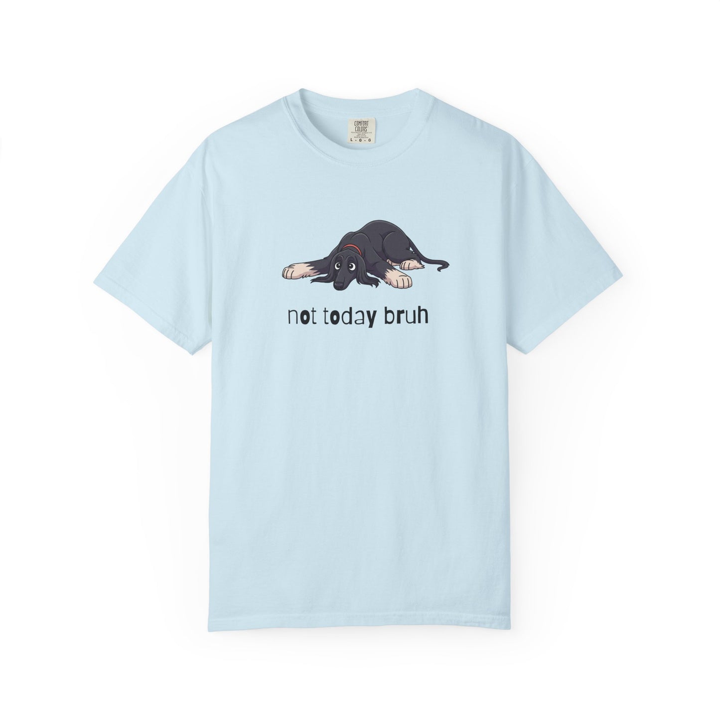 Afghan Hound Not Today Bruh T-Shirt