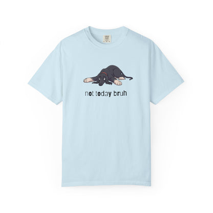 Afghan Hound Not Today Bruh T-Shirt