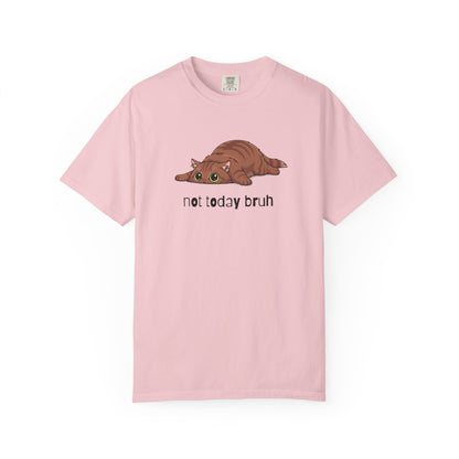 Long hair brown cat Not Today Bruh T-Shirt