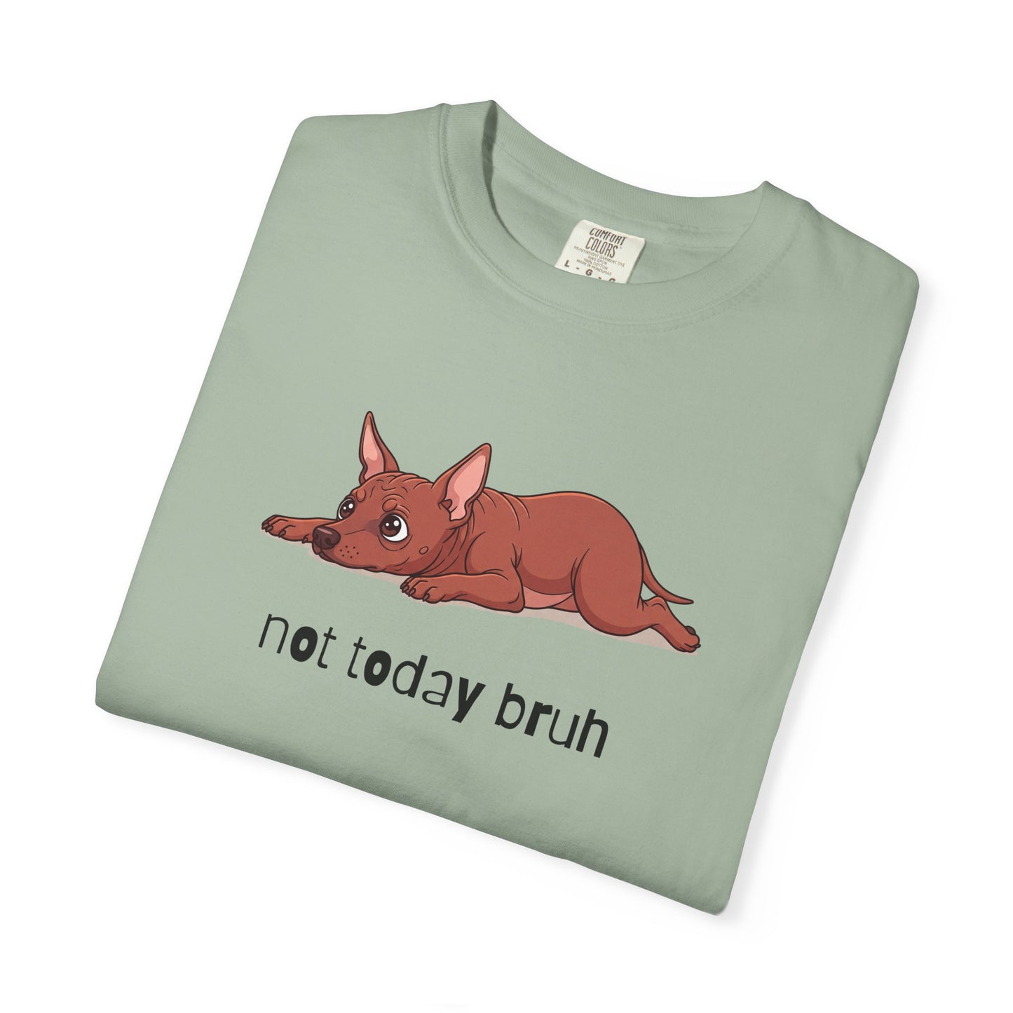 Hairless Dog Not Today Bruh T-Shirt