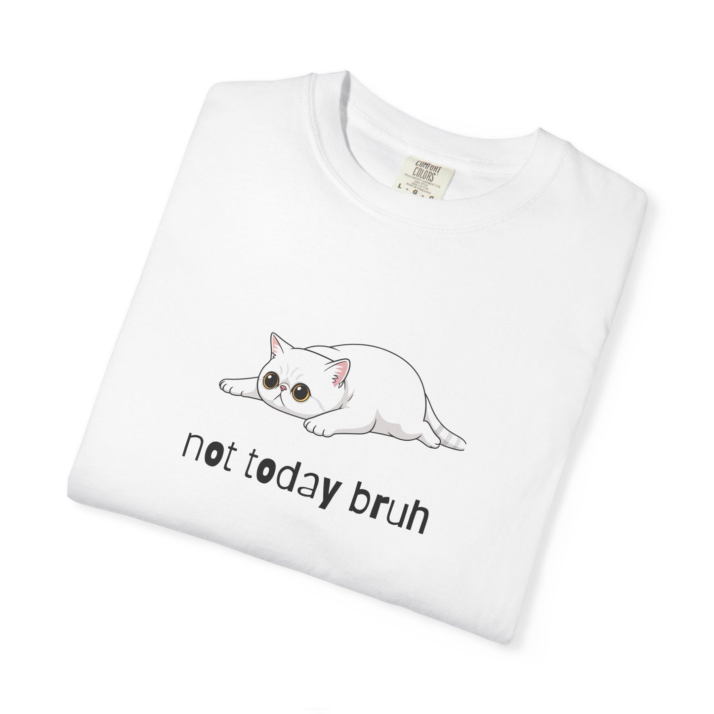 Exotic Shorthair Not Today Bruh T-Shirt