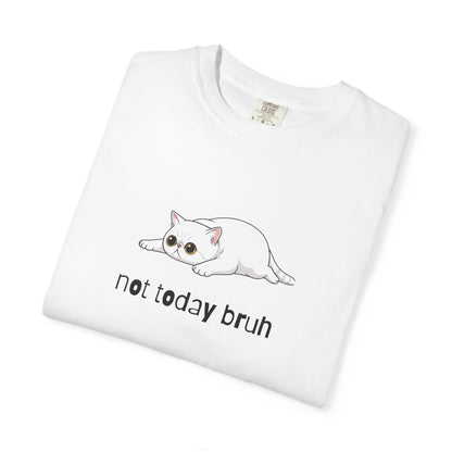 Exotic Shorthair Not Today Bruh T-Shirt