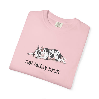 Great Dane Not Today Bruh T-Shirt