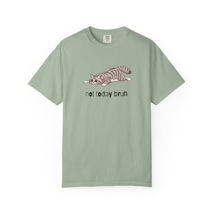 Long hair silver tabby cat Not Today Bruh T-Shirt