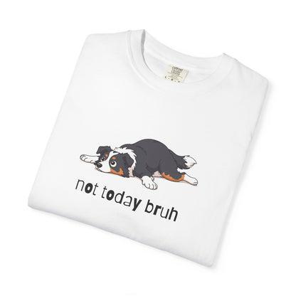Border Collie Not Today Bruh T-Shirt
