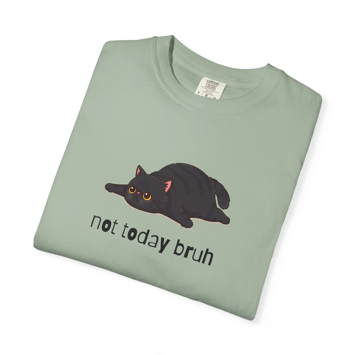 Exotic Shorthair Not Today Bruh T-Shirt