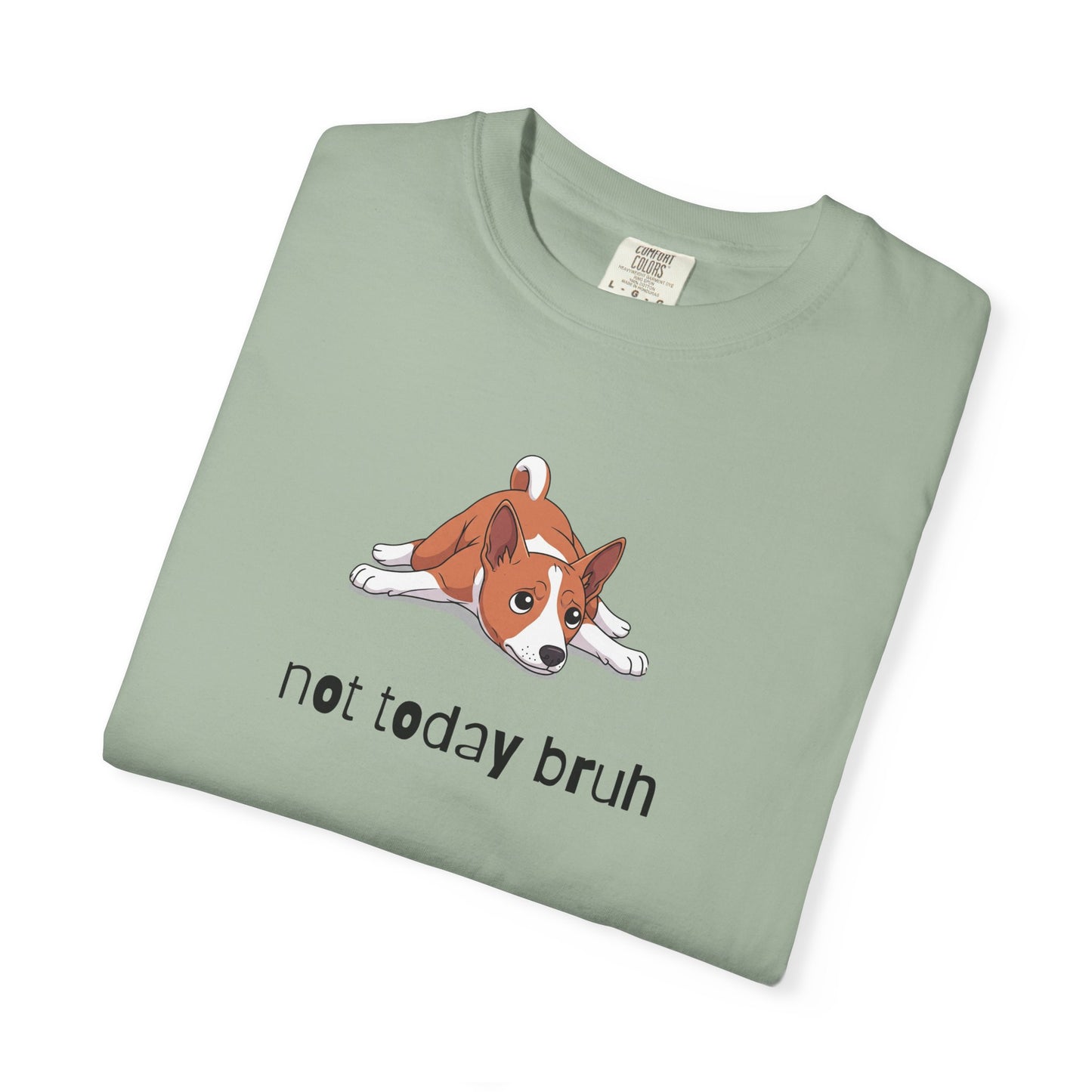 Basenji Not Today Bruh T-Shirt
