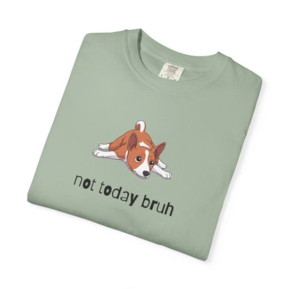 Basenji Not Today Bruh T-Shirt