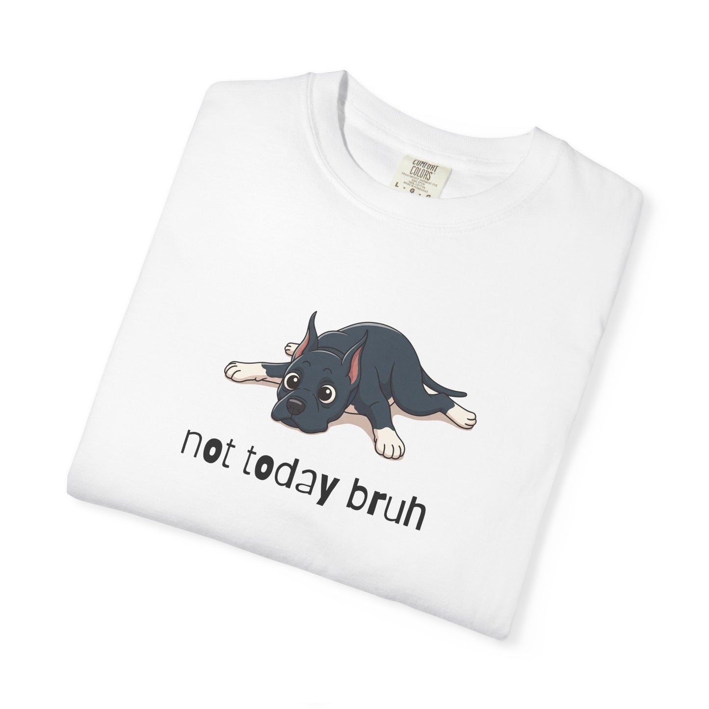 Great Dane Not Today Bruh T-Shirt