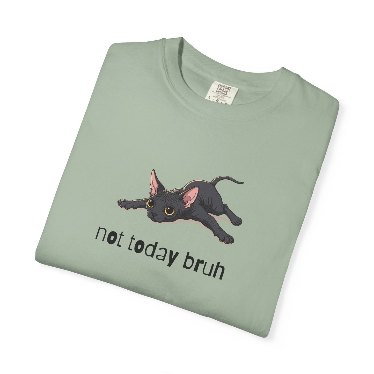 Sphynx Not Today Bruh T-Shirt