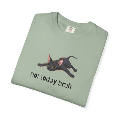 Sphynx Not Today Bruh T-Shirt