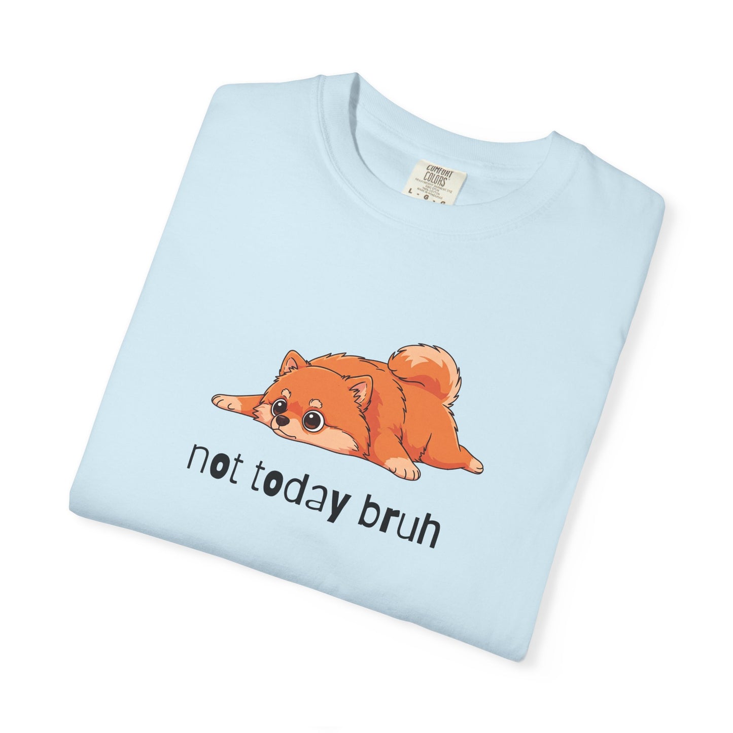 Pomeranian Not Today Bruh T-Shirt